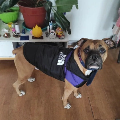 The Dog Face Boxer Dog Jacket