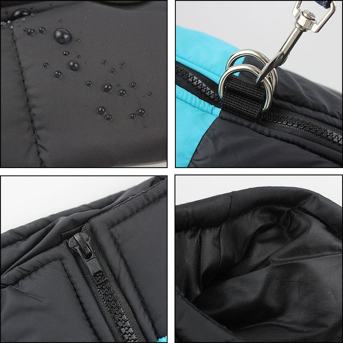 The Dog Face Boxer Dog Jacket