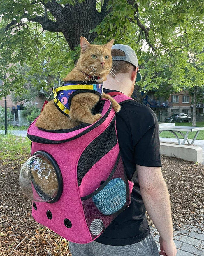 Cat and human using "The Fat Cat" Cat Backpack in Deep Rose Pink