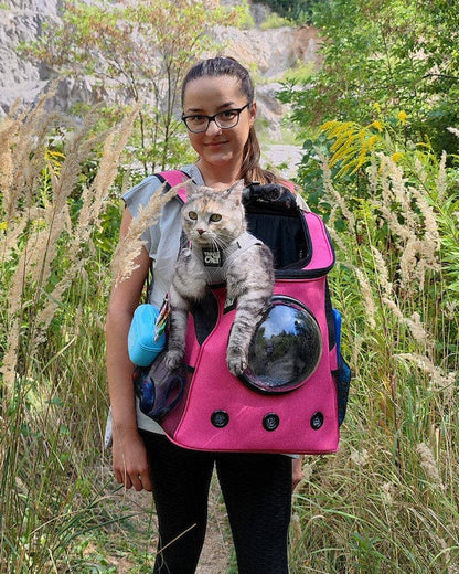 Human and cat using "The Fat Cat" Cat Backpack in Deep Rose Pink