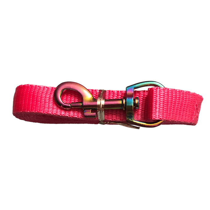 The Purrfectly Pink Iridescent Leash