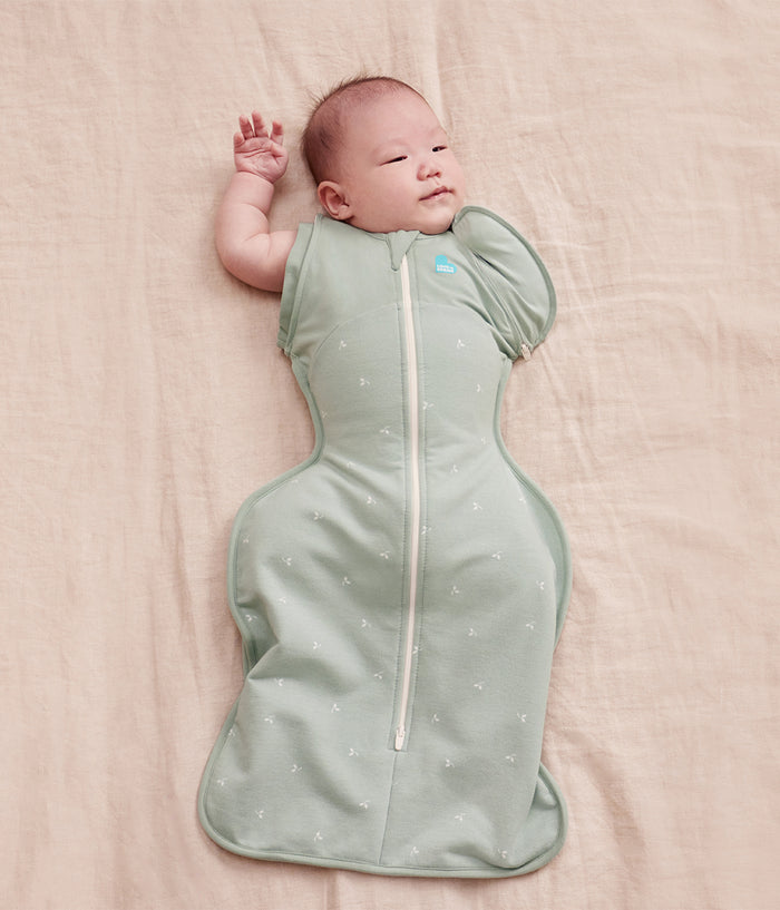 Transitioning Bundle | 1.5 |  2.5 TOG | Oatmeal Twigs | Olive Twigs | Olive Bees