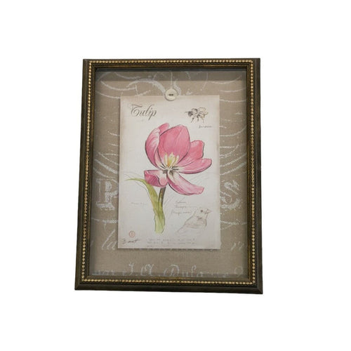 Tulip