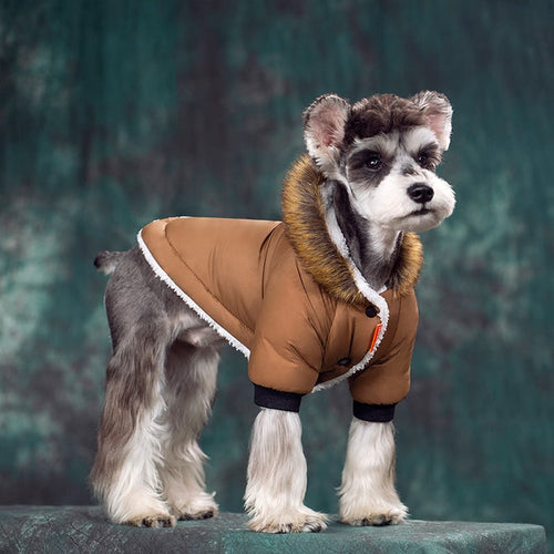 Warm Winter Schnauzer Jacket