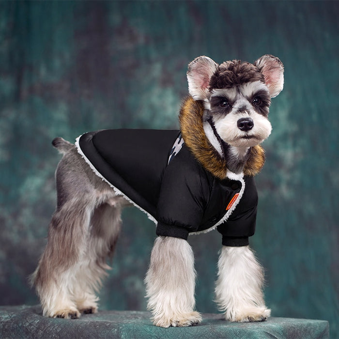 Warm Winter Schnauzer Jacket