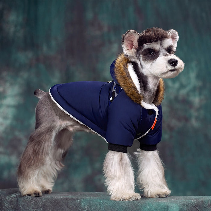 Warm Winter Schnauzer Jacket