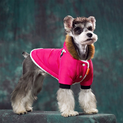Warm Winter Schnauzer Jacket