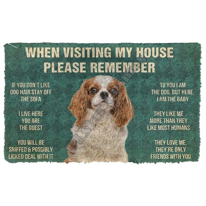 When Visiting My House Please Remember Boxer Doormat